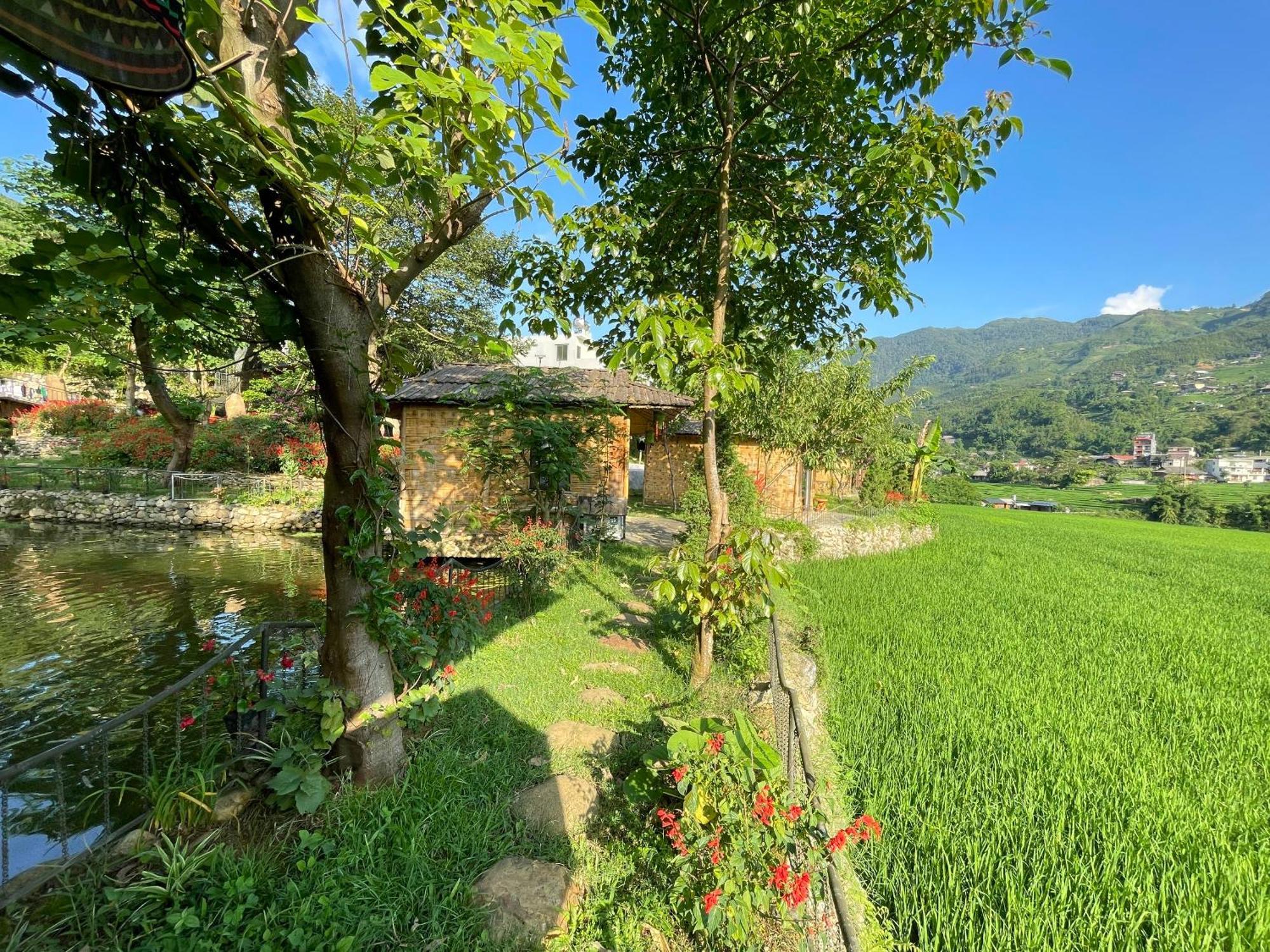 Sapa Bamboo Eco 게스트하우스 외부 사진