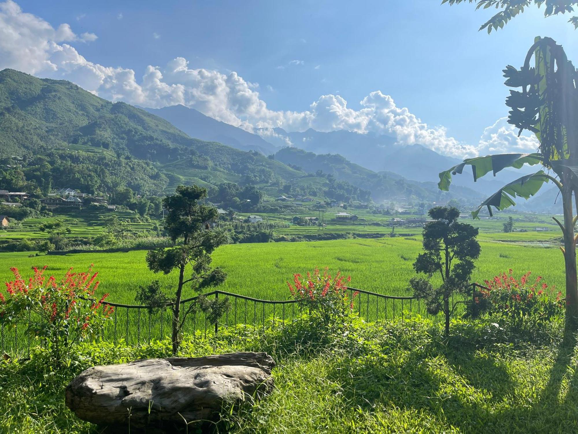 Sapa Bamboo Eco 게스트하우스 외부 사진