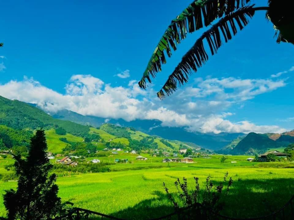 Sapa Bamboo Eco 게스트하우스 외부 사진